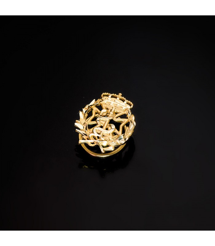 Insignia profesional Odontología Oro 18K - Pin profesiones - carreras universitarias - emblema, escudo de oro