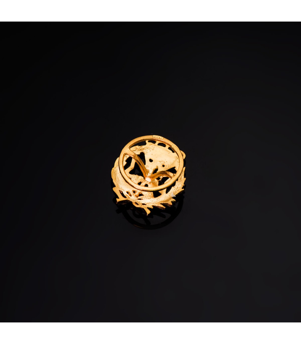 Insignia profesional Odontología Oro 18K - Pin profesiones - carreras universitarias - emblema, escudo de oro