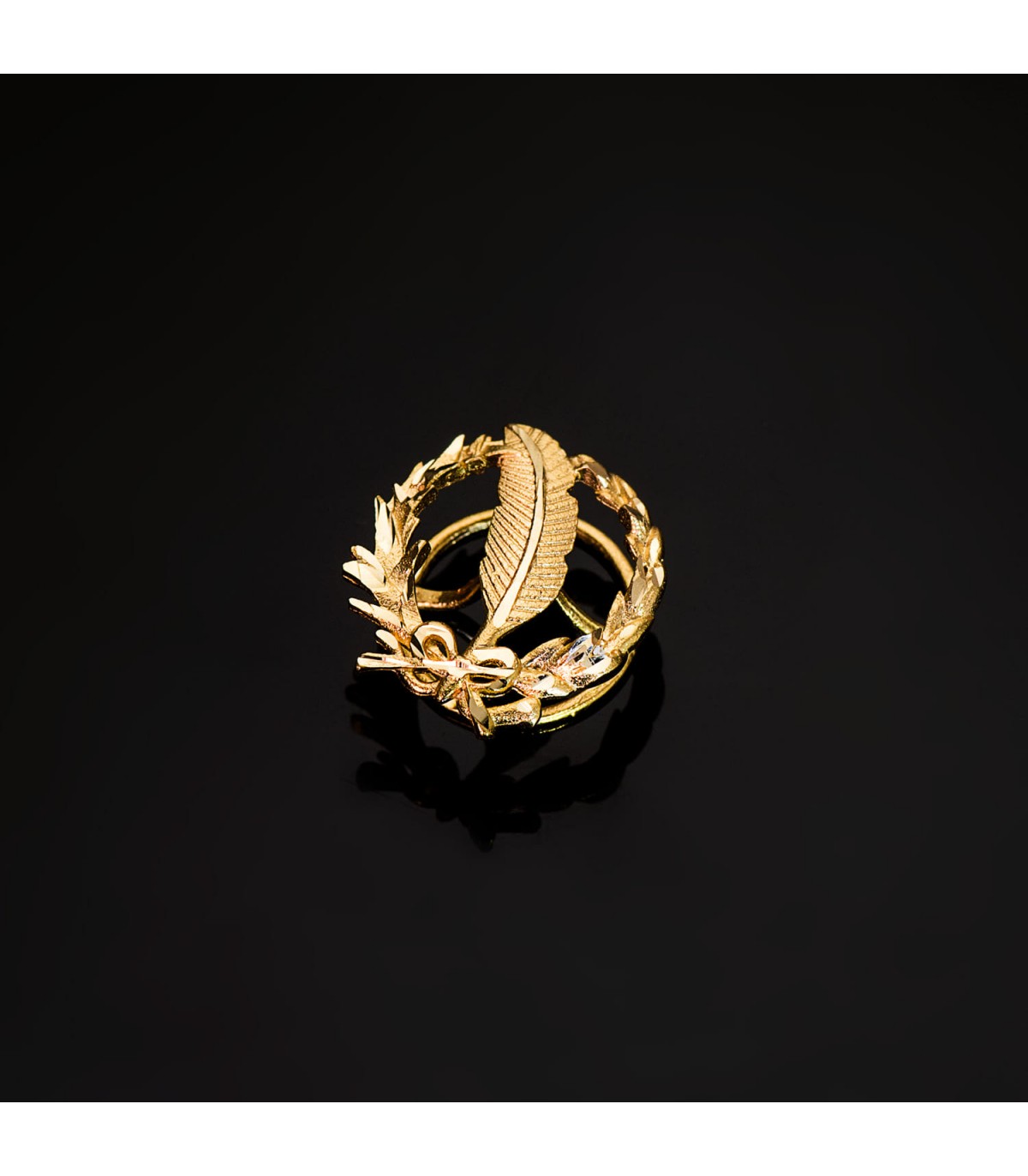 Insignia profesional Periodismo Oro 18K - Pin profesiones - carreras universitarias - emblema, escudo de oro