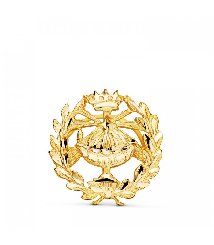 Insignia profesional Química Oro 18K - Pin profesiones - carreras universitarias - emblema, escudo de oro