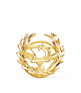 Insignia profesional Óptica Oro 18K - Pin profesiones - carreras universitarias - emblema, escudo de oro