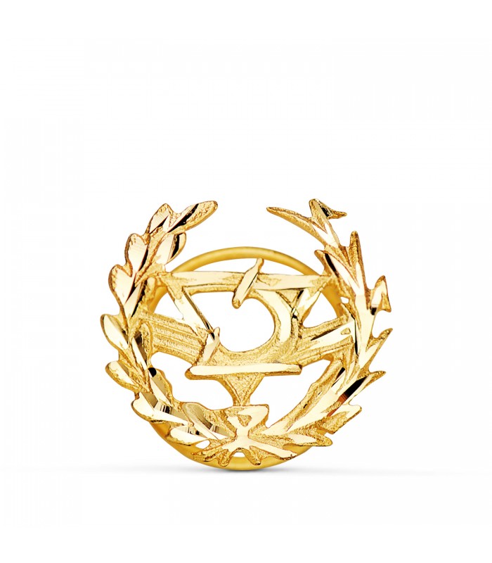 Broche professionnelle Optique Or 18K
