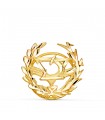 Broche professionnelle Optique Or 18K