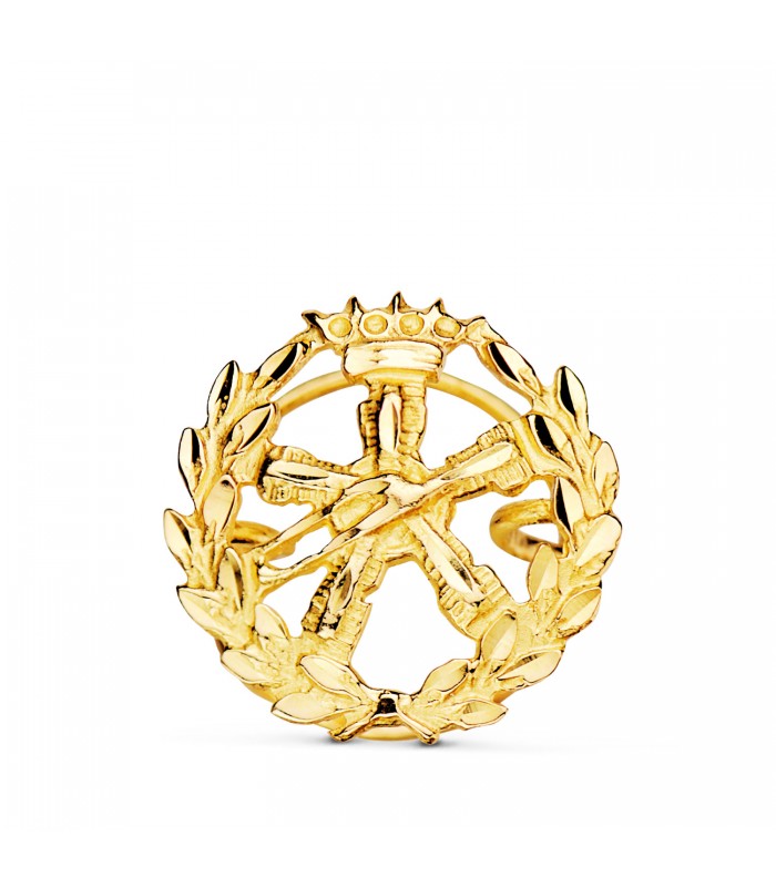 Insignia profesional Ingeniería Aeronáutica - Pin profesiones - carreras universitarias - emblema, escudo de oro
