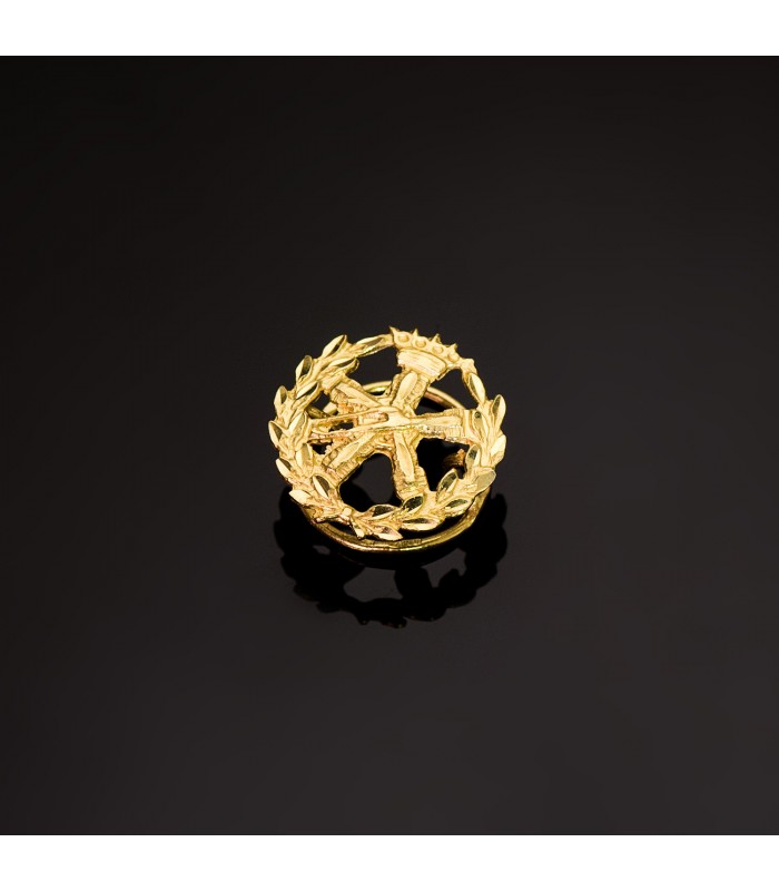 Insignia profesional Ingeniería Aeronáutica - Pin profesiones - carreras universitarias - emblema, escudo de oro