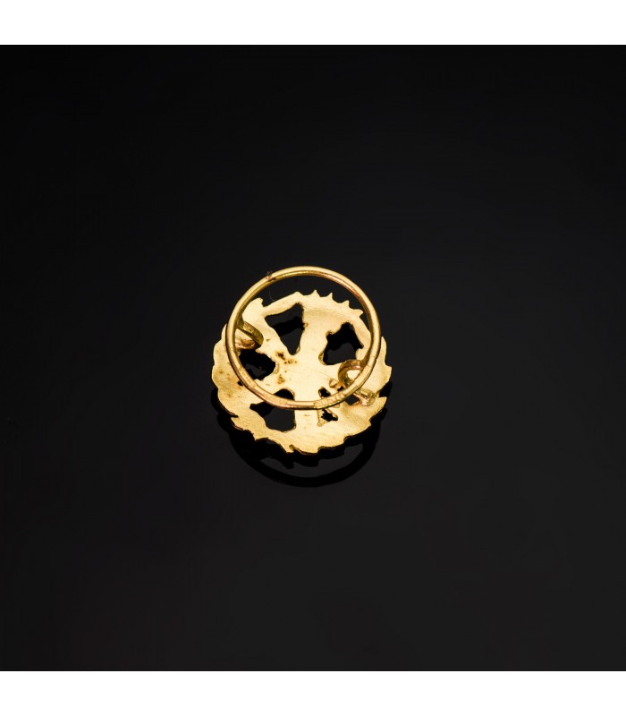 Insignia profesional Ingeniería Aeronáutica - Pin profesiones - carreras universitarias - emblema, escudo de oro