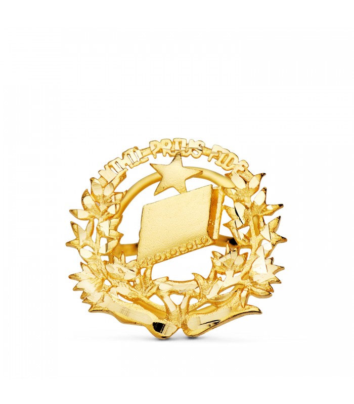 Insignia profesional Notaría Oro 18K - carreras universitarias - emblema, escudo de oro