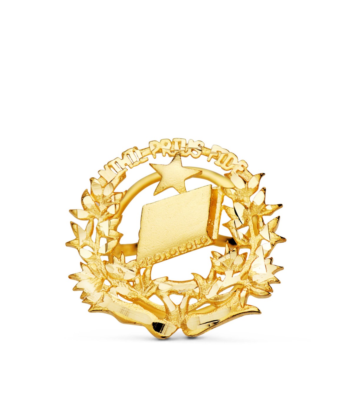 Insignia profesional Notaría Oro 18K - carreras universitarias - emblema, escudo de oro