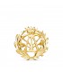 Broche professionnelle Physique Or 18K