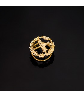 Insignia profesional Filosofía Oro 18K - Pin profesiones - carreras universitarias - emblema, escudo de oro