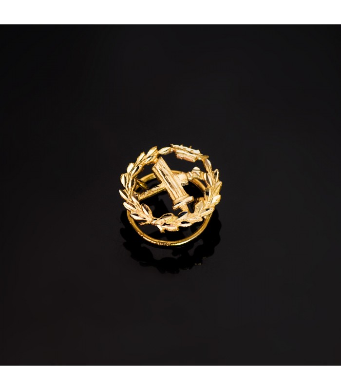 Insignia profesional Filosofía Oro 18K - Pin profesiones - carreras universitarias - emblema, escudo de oro