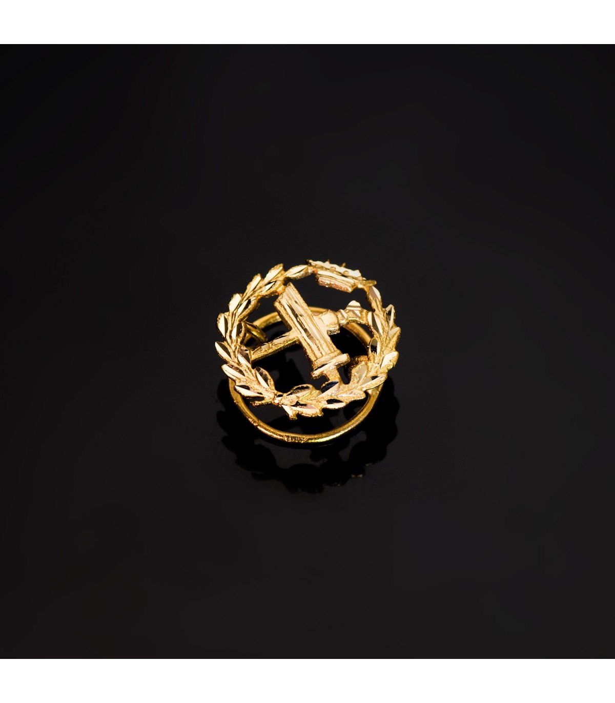 Insignia profesional Filosofía Oro 18K - Pin profesiones - carreras universitarias - emblema, escudo de oro