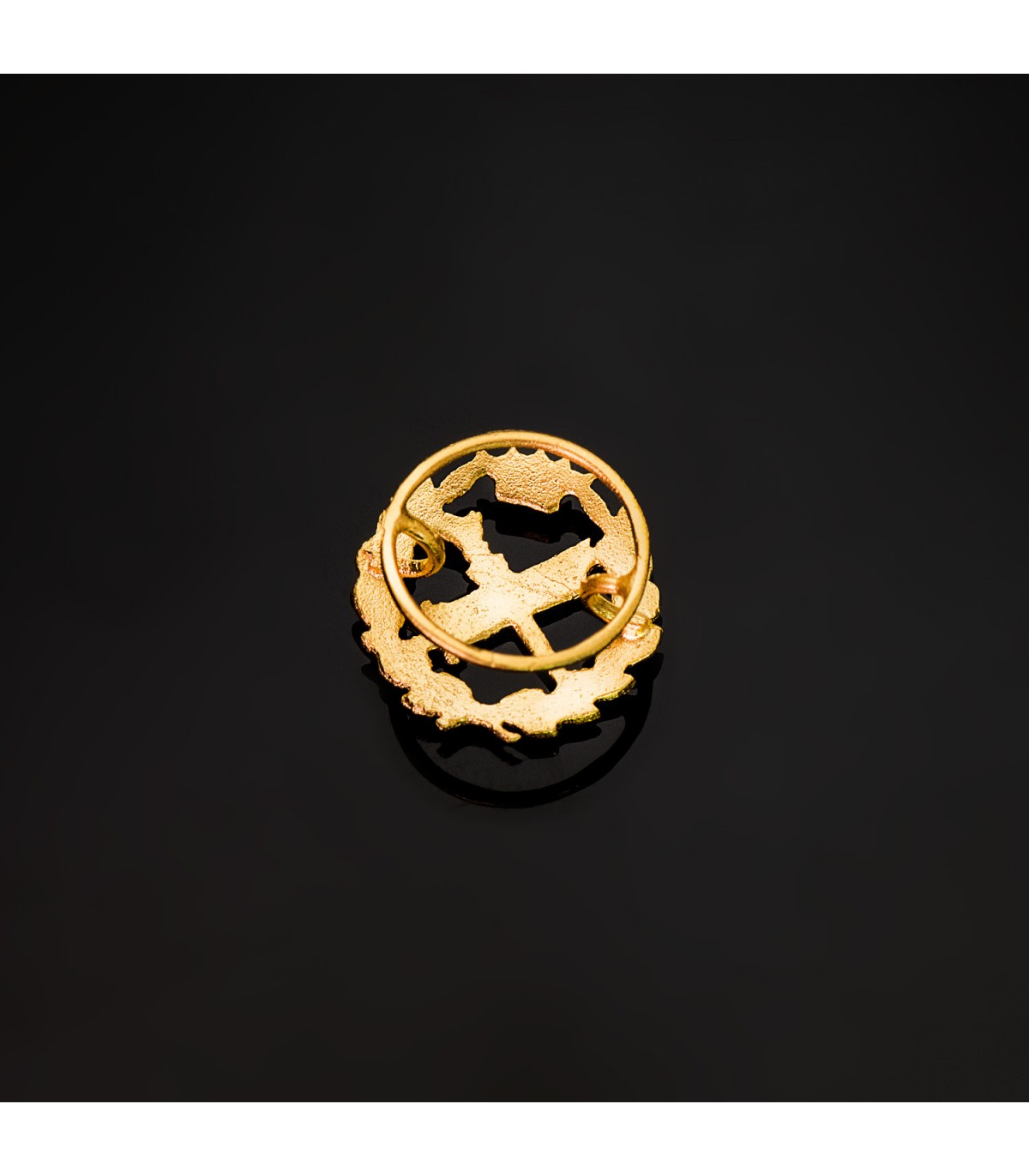 Insignia profesional Filosofía Oro 18K - Pin profesiones - carreras universitarias - emblema, escudo de oro