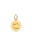 Colgante Horóscopo Piscis Oro 18K 13mm Mate