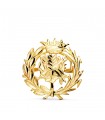 Broche professionnelle Sciences Éco Or 18K