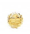 Tiermedizin Brosche Gold 750 - Graduierung Geschenk
