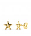 Ohrringe 750 Gold 21348 Stern