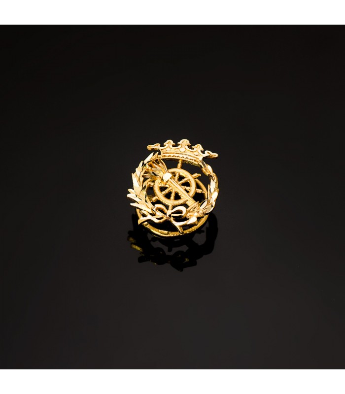 Pin de oro -  insignia Ciencias políticas Oro 18K - carreras universitarias - emblema, escudo de oro