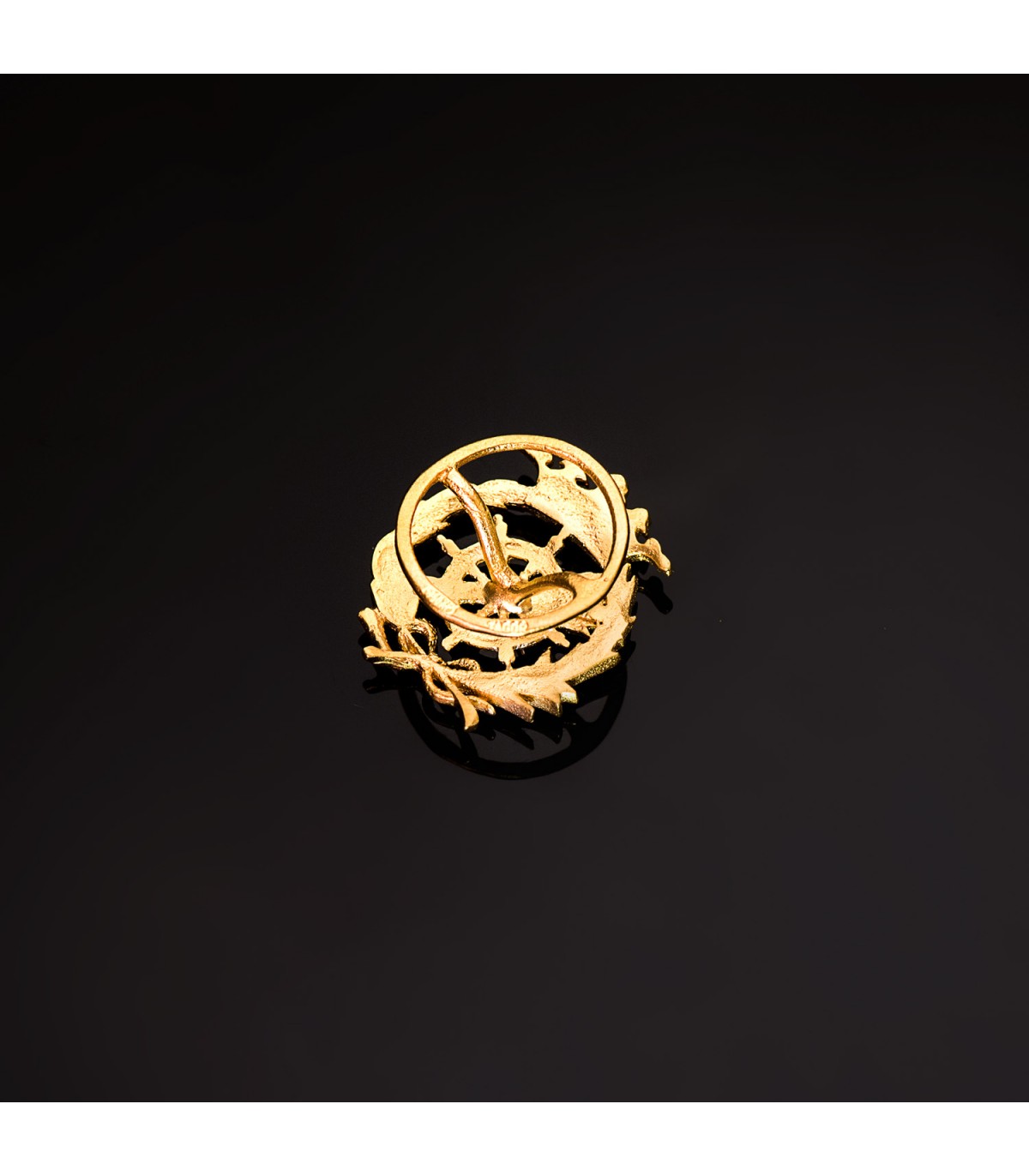 parte traera del pin de oro Ciencias políticas