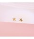 Pendientes Estrella Sherif Oro 18K 7mm pendientes de hombre