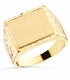 Sello hombre Oro 18K Nael macizo - anillos de oro para hombre - joyería online