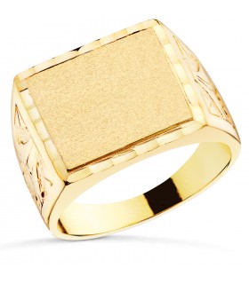 Sello hombre Oro 18K Nael macizo - anillos de oro para hombre - joyería online