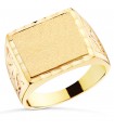Siegelring in Gold 750 P4124