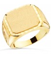 Siegelring in Gold 750 P4163