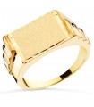 Siegelring in Gold 750 P4187