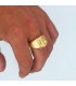 Chevalière Lion Homme Or Jaune 18K Zircons