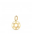 Davidstern Anhänger 18K Gold 22261
