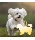 Collana cane Maltese con ciondolo, incisione gratuita nome di animale domestico.