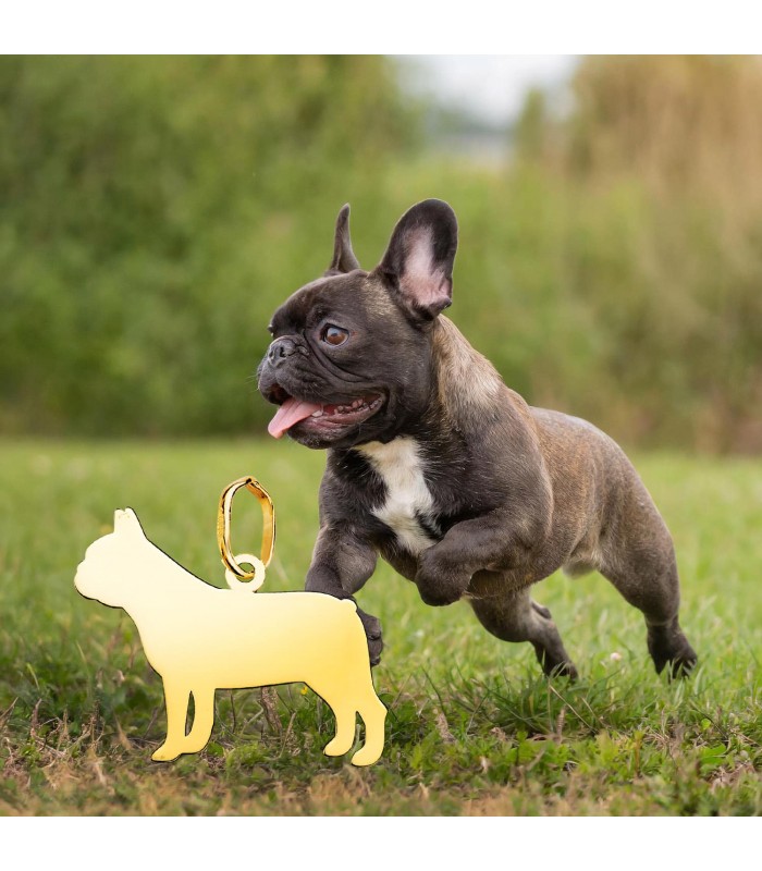 collar de perro bulldog frances