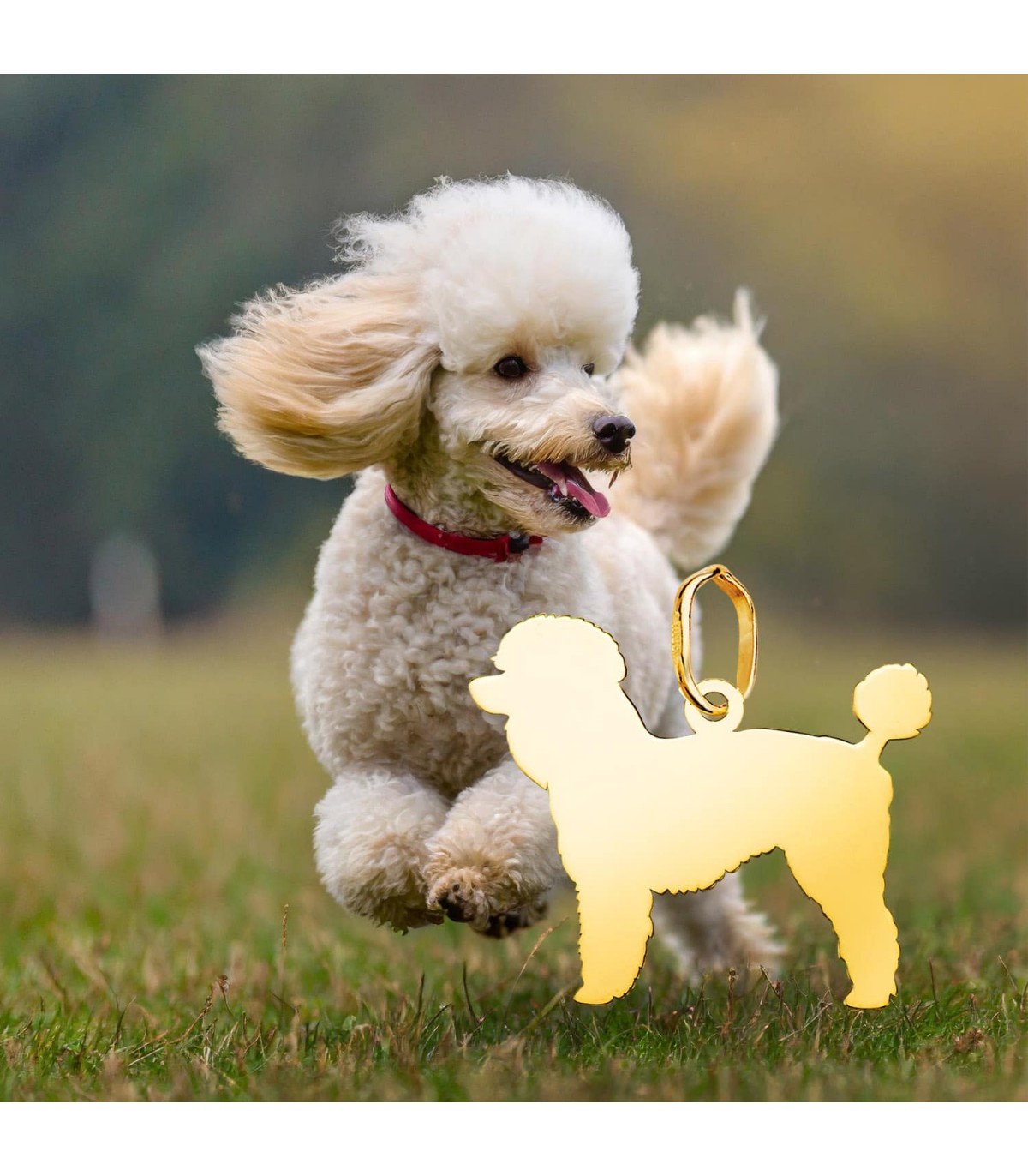 colgante de perro caniche