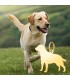 Ciondolo a forma di cane razza Labrador Retriever - Incisione nome