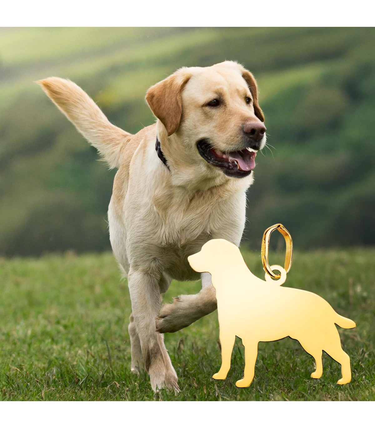Ciondolo a forma di cane razza Labrador Retriever - Incisione nome
