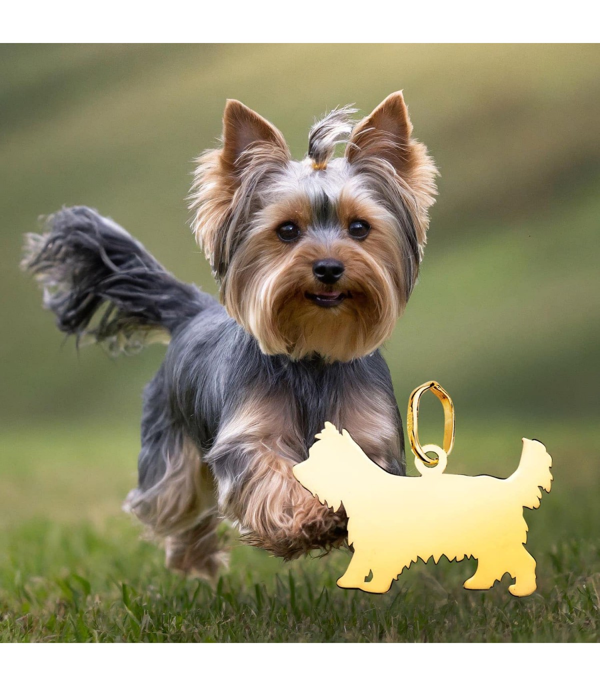 colgante de perro yorkshire