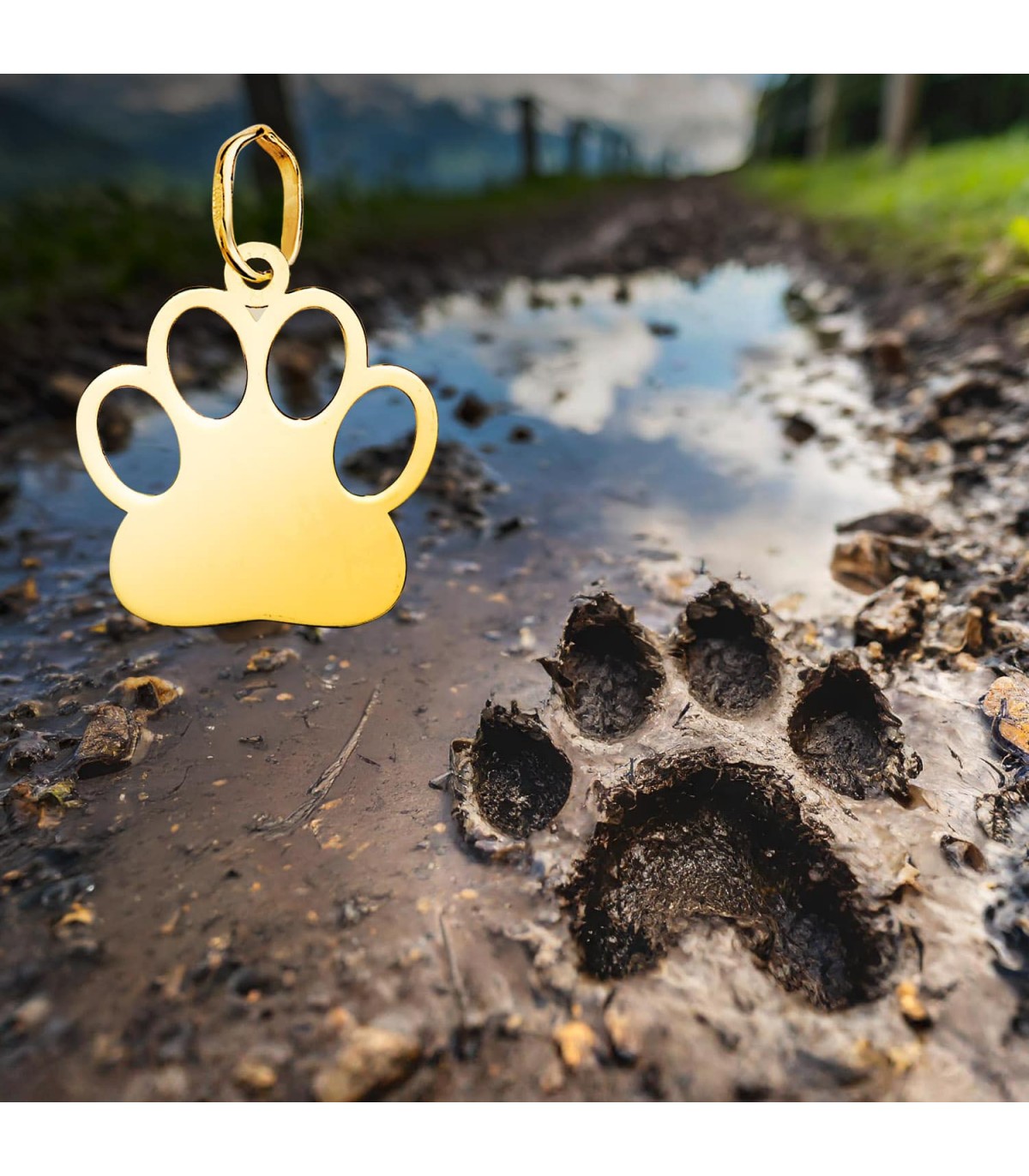 Colgante de huella de perro, joyas personalizadas mujer.