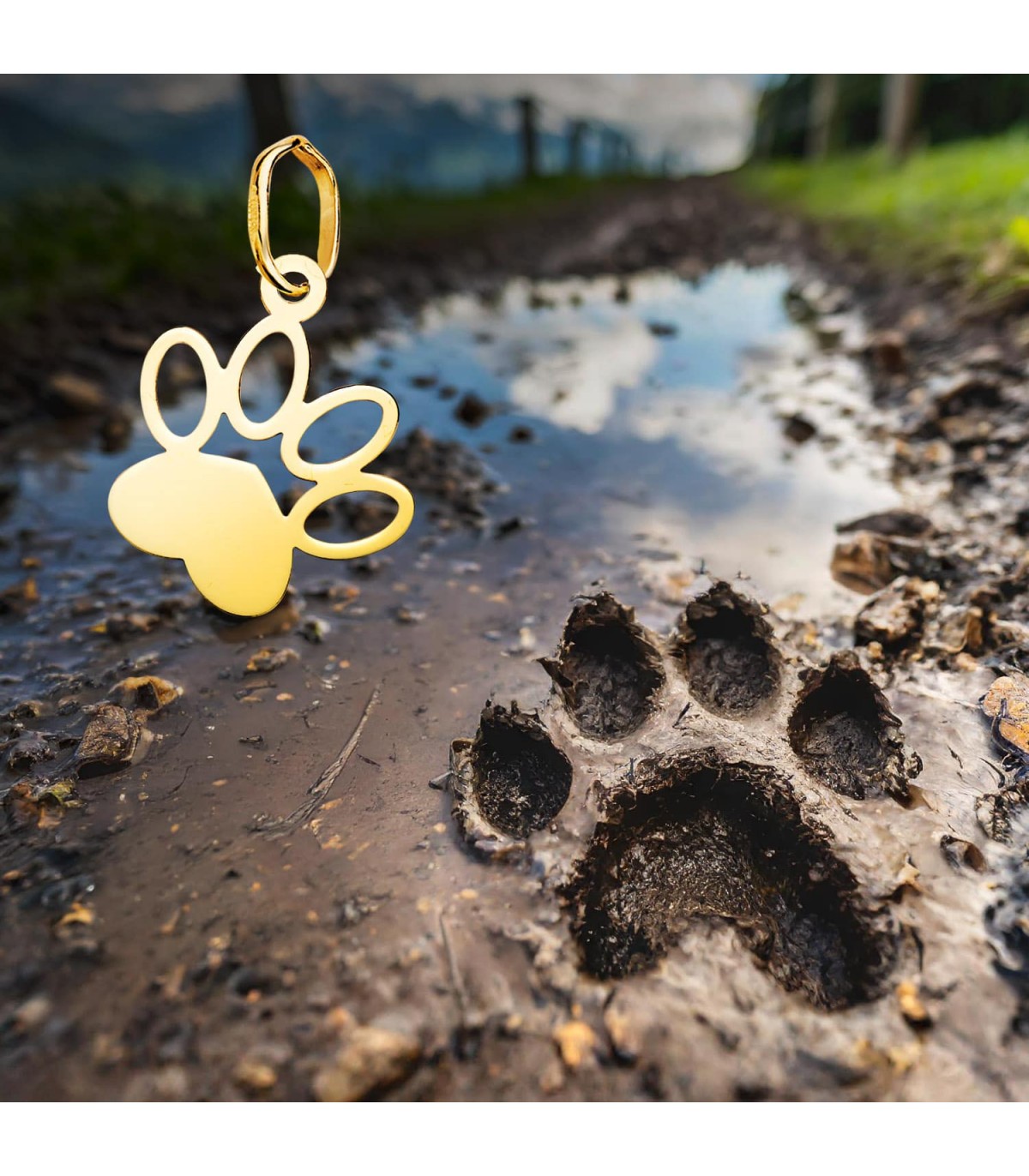Ciondolo da incidere, zampa di cane in Oro 18 kt. Gioielli personalizzati.