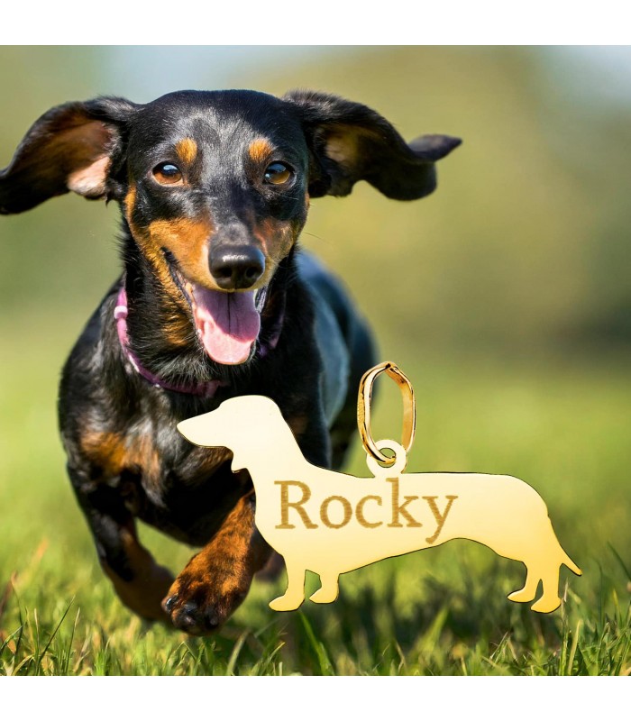 Colgante personalizado de perro salchicha - Dachshund. Collares mujer oro.