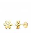 Clous d'oreilles marguerites 6mm Or 750