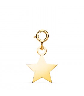 Charm oro giallo 18kt stella a lastra | Ciondoli per donna.