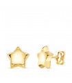 Ohrringe 750 Gold N6979-5AP Stern