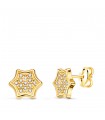 Ohrringe 750 Gold N5678-5AP Stern