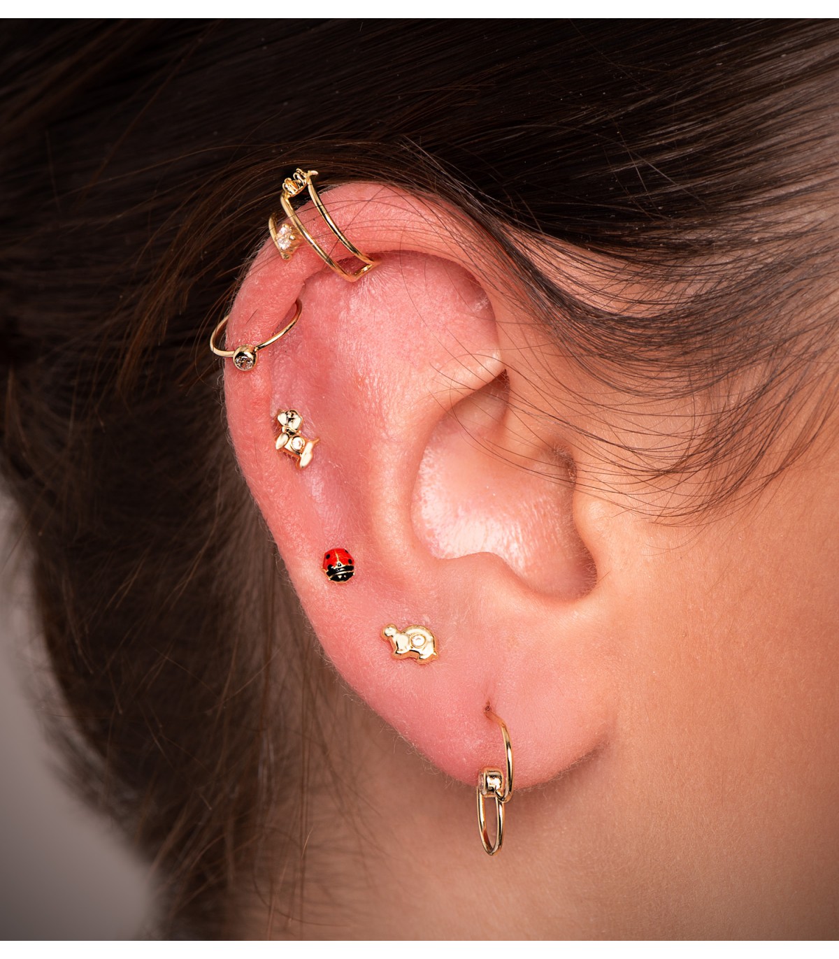 Piercings tortuga, piercing oreja de oro con forma de animales y pendientes de rosca.