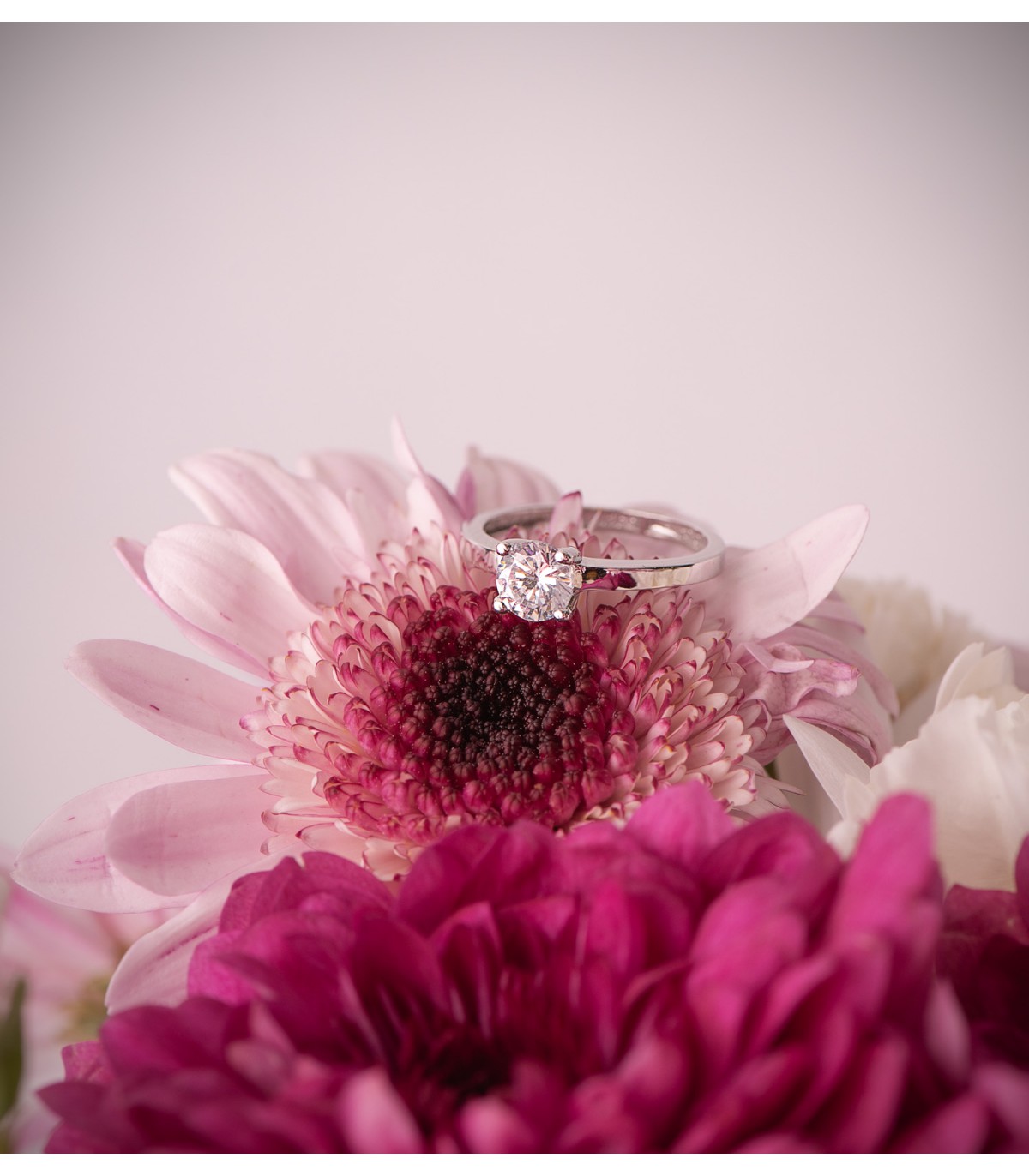 Solitario da donna oro bianco Ammon 18kt | Anelli proposta di matrimonio e fidanzamento