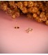 Piercing piedrita, pendientes en la oreja de cadenita, corazón, circonita, bolitas, rayo.