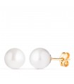 Ohrringe 750 Gold N4298-8AP