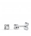 Diamant Ohrstecker | 750 Weißgold P1896.010-1obp