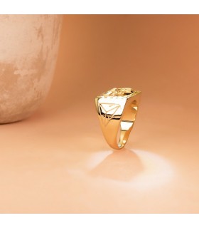 Siegelring in Gold 750 P4098
